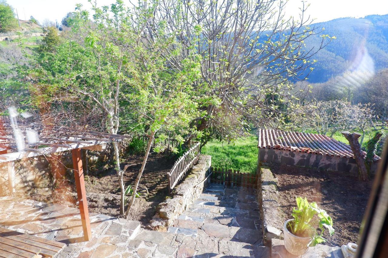 Retiro De Gondramaz - 200 M2 Villa Buitenkant foto